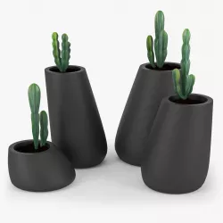 Cactus 3D model