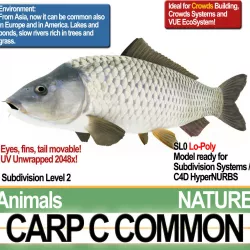 Carp C Common 3D model