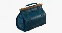 Carpetbag purse 3D model