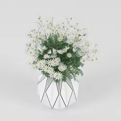 Daisy 3D model