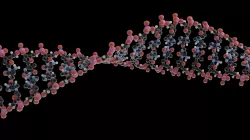 DNA Model - Non Blender 3D - 3D model