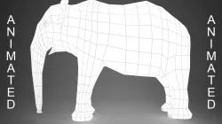 ELEPHANT - BASE MODEL WITH SKELETON 3D model