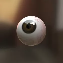 Eyeball  Low-poly  3D model
