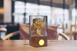 FIST TROPHY 3D model