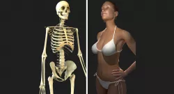 Full Female Body With Skeleton 3D model