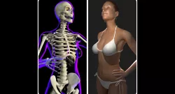 Full Female Body X-Ray With Skeleton 3D model