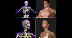 Full Male And Female Body X-Ray 3D model