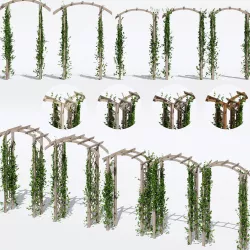 Garden arches two 3D model