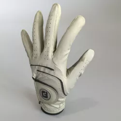 Golf Glove 3D model