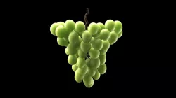 Green Grape 3D model