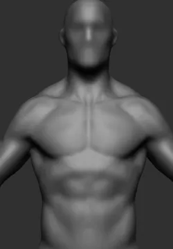 H Anatomy 3D model