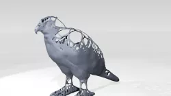 Hawk Dust Voronoi 3D model