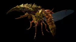Hercule The Beetle Creature Low-poly  3D model