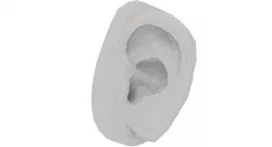 Human Ear Low-poly  3D model
