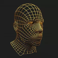 Human Face Wireframe Geometry 3D model