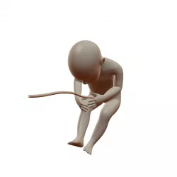 Human Fetus 3D model