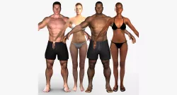 Humand Body Collection Rigged 3D model
