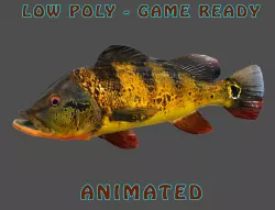 Low poly Peacock Bass Fish Animated - Game Ready Low-poly  3D model