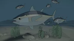 low poly tuna fish Low-poly  3D model