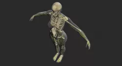 Male Central Nervous System With Skeleton 3DSmax 3D model