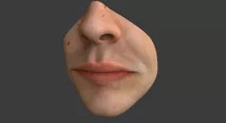 Male Mouth 3D model