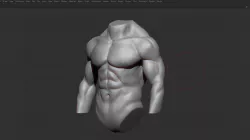 Male torso  3D model