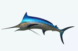 Marlin 3D model