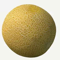 Melon Low-poly  3D model