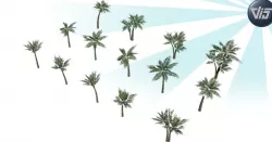 Palm trees collection Low-poly  3D model