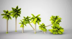 Palm Trees Low-poly  3D model
