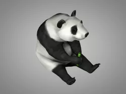 Panda or China bear Low-poly  3D model