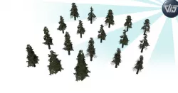 Pine tree collection Low-poly  3D model