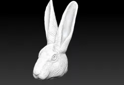 Rabbit 3D model