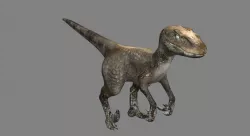 Raptor 3D model