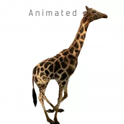 Realtime Running Savannah Giraffe Low-poly  3D model