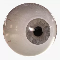 Rigged Eyes 3D model