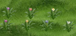 Rose color - Wide leaves flower 3D model