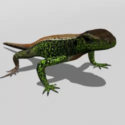 Sand lizard Low-poly  3D model