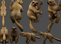 sloth different sloths Low-poly 3D model