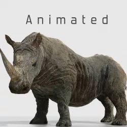 Southern White African Rhino Low-poly  3D model