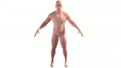 Strong Man Character Low-poly  3D model