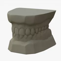 Teeth Mold 3D model