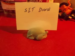 Turkey Place card holder