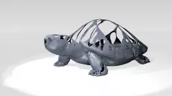 Turtle Dust Voronoi 3D model