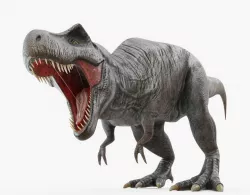 Tyrannosaurus Rex Animated Low-poly  3D model
