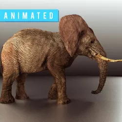 Walking Old African Elephant Low-poly  3D model