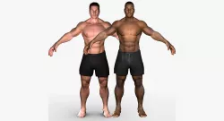 White and African American Male Full Body Collection 3D model