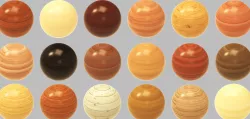 Wood Textures with PBR CGD Vol 21 Texture
