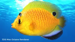 Yellow Angel Fish Low-poly  3D model