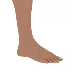 3D Feet 3D model